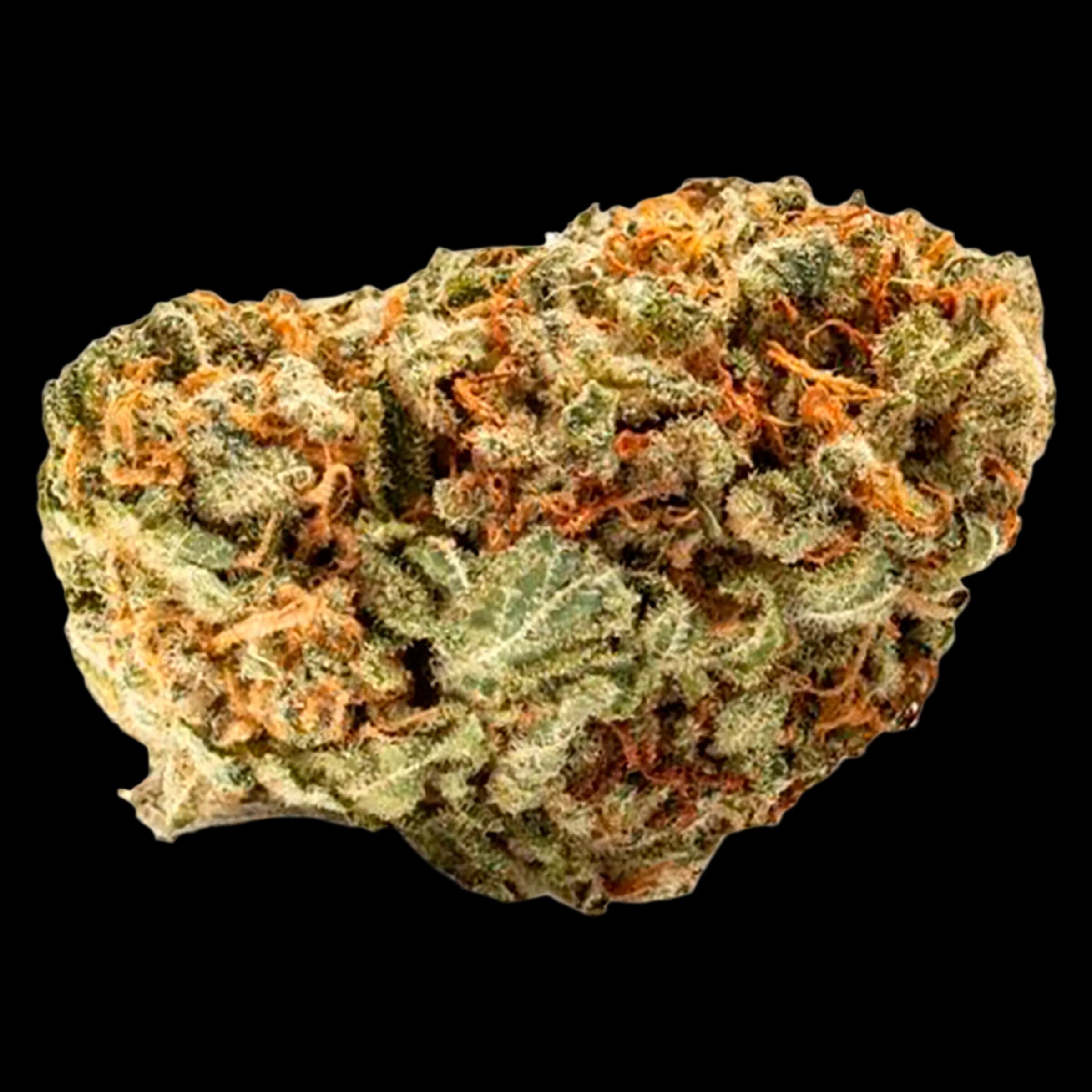 SKOSHA Crab Cakes cannabis dried flower with green and orange trichomes on white background