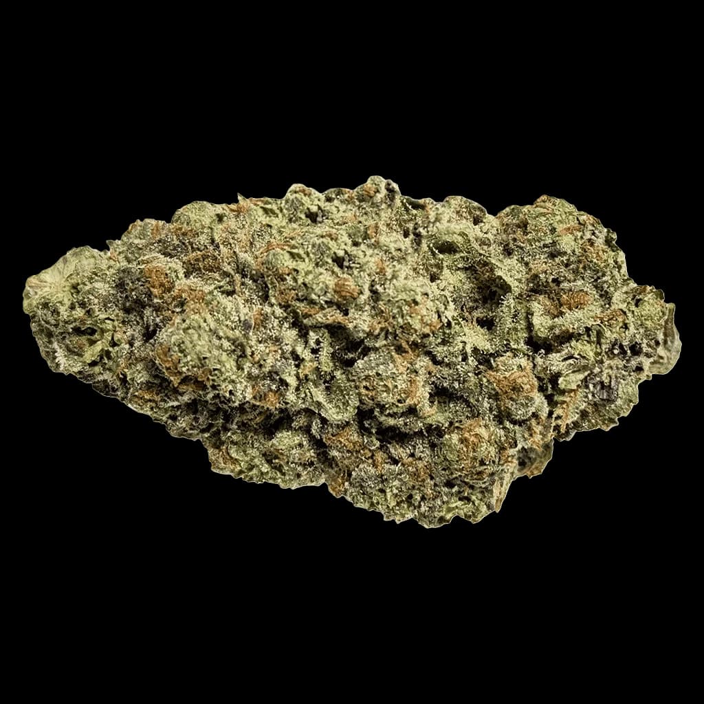 Lemon Shocker dried flower cannabis buds with dense, light green trichome coating and brown pistils