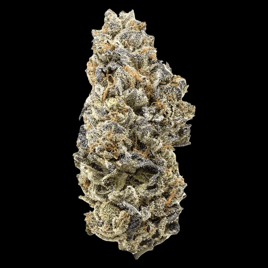 Candy Apple cannabis dried flower by Queen of the Underground, showing dense trichome-covered buds with white and golden tones