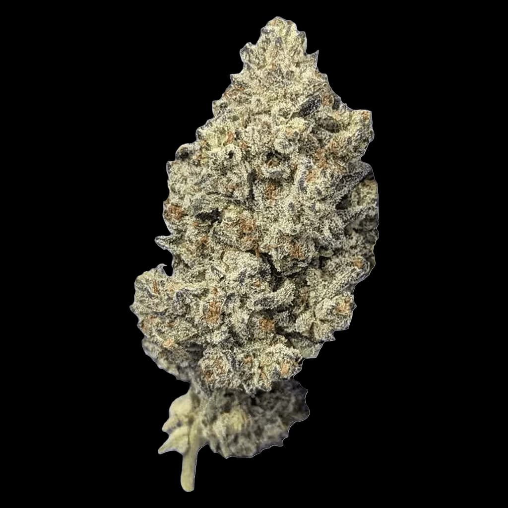 Bourgeons de cannabis Super Lemon Haze en fleurs séchées avec des trichomes denses et une couleur vert clair, Papa's Herb