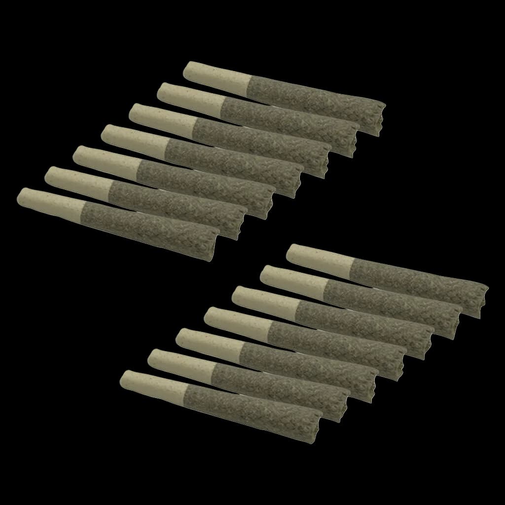 Pré-roulés spéciaux Burner Phone de Next Friday, paquet de 14 pré-roulés de cannabis avec filtres beige clair et enveloppes de fleurs foncées