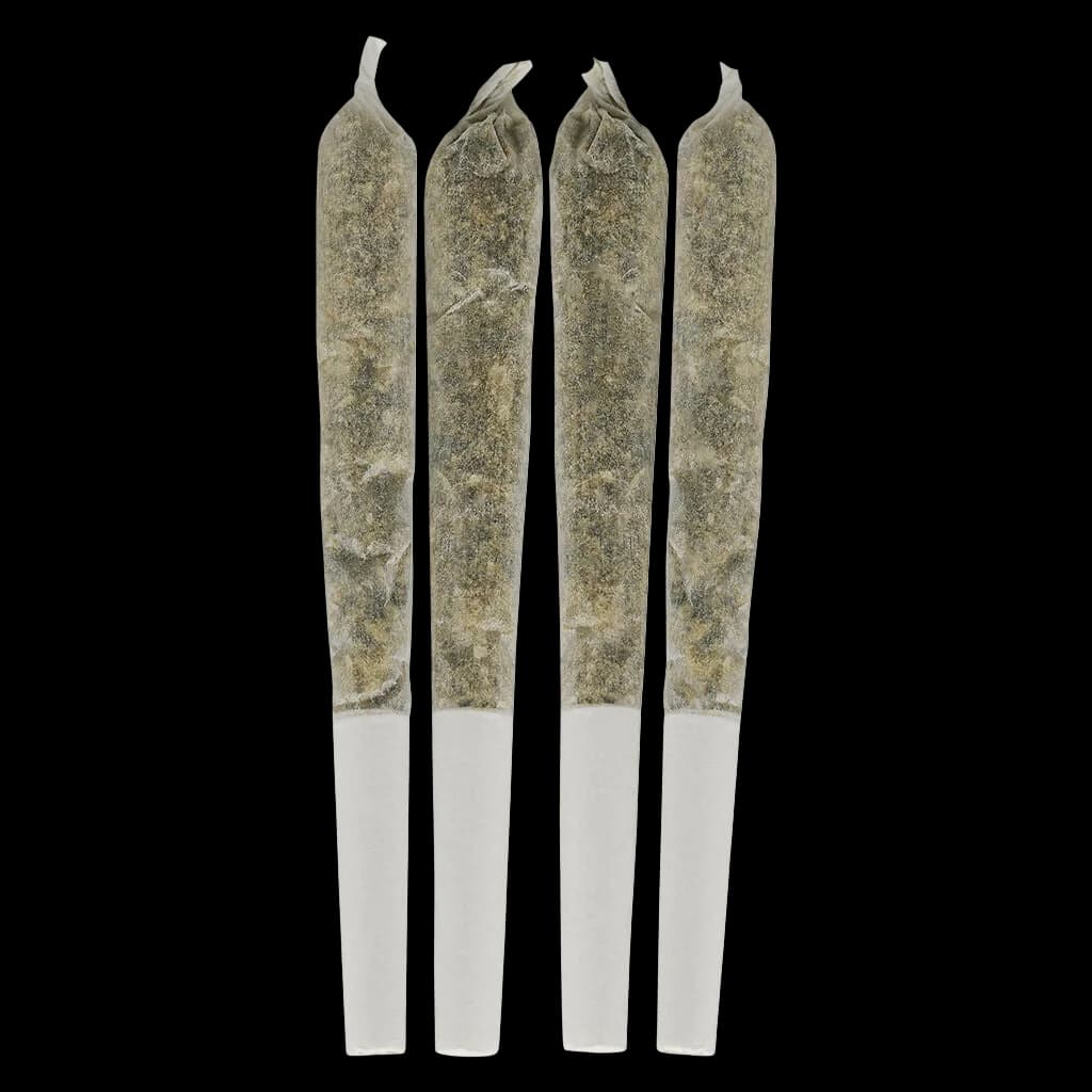 Pré-roulés Tropical Pocket Puffs de Dime Bag en paquet de 4, avec filtres en papier blanc et fleur de cannabis visible
