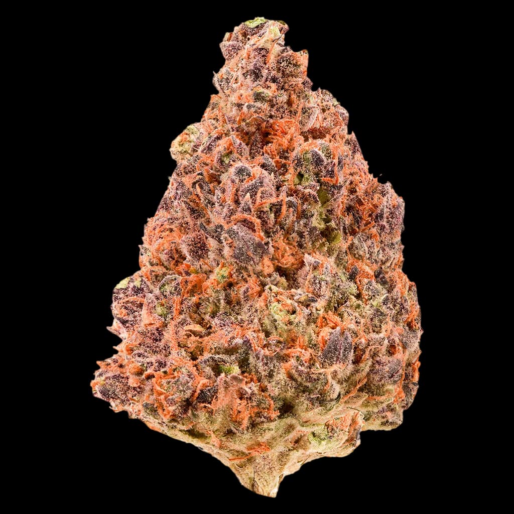 Bourgeons de cannabis à fleurs séchées Cherry Blast avec une coloration rouille-orange et vert lime, dense couverture de trichomes