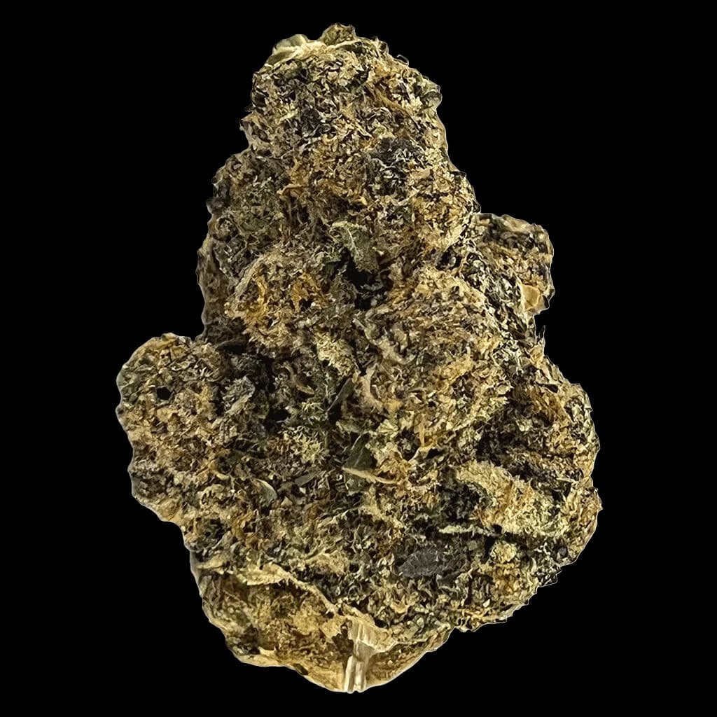 Bourgeons de cannabis de fleur séchée Wes' Coast Kush aux trichomes denses et à la coloration vert olive
