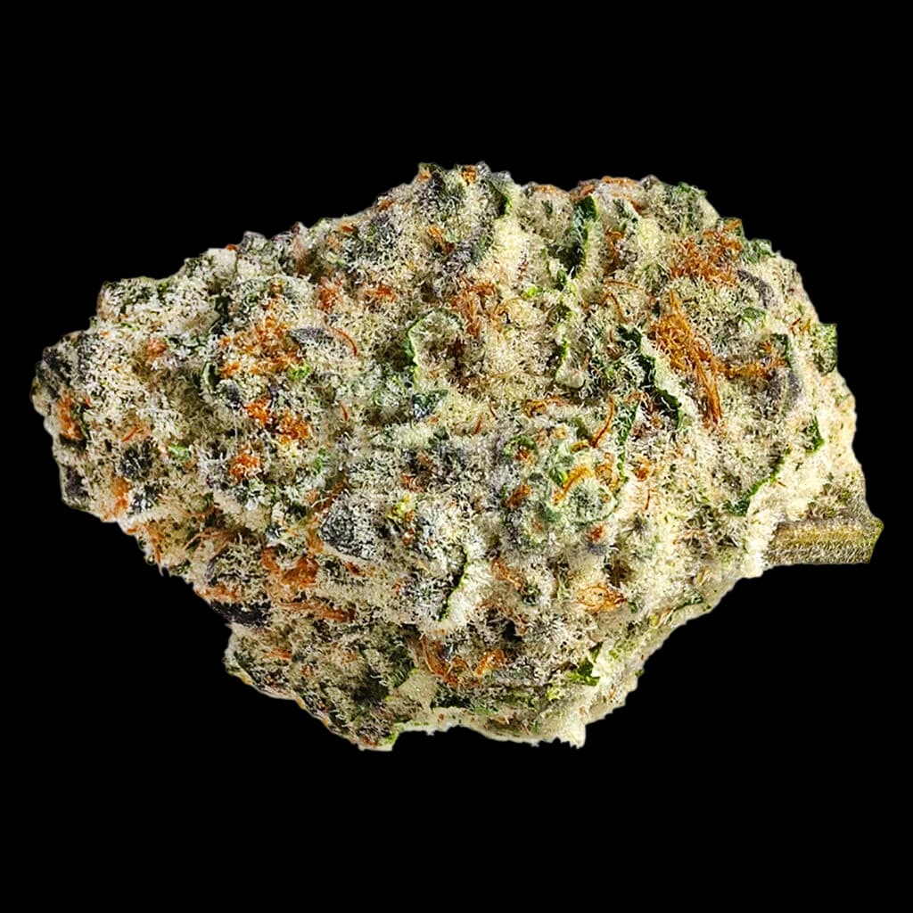 La fleur séchée Strawberry Amnesia de The Original Fraser Valley Weed Co. avec des trichomes orange et verts