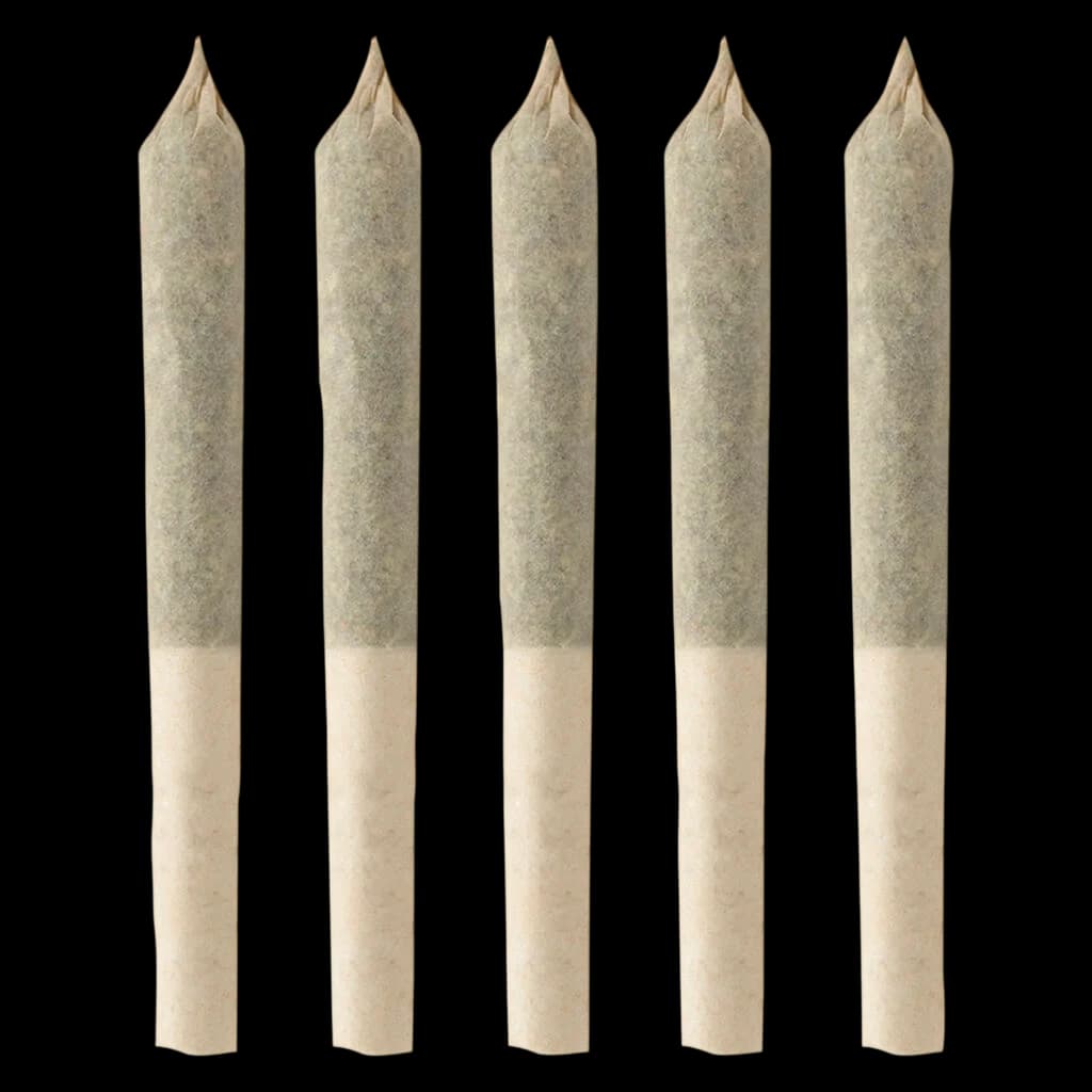 BC Organic Harlequin