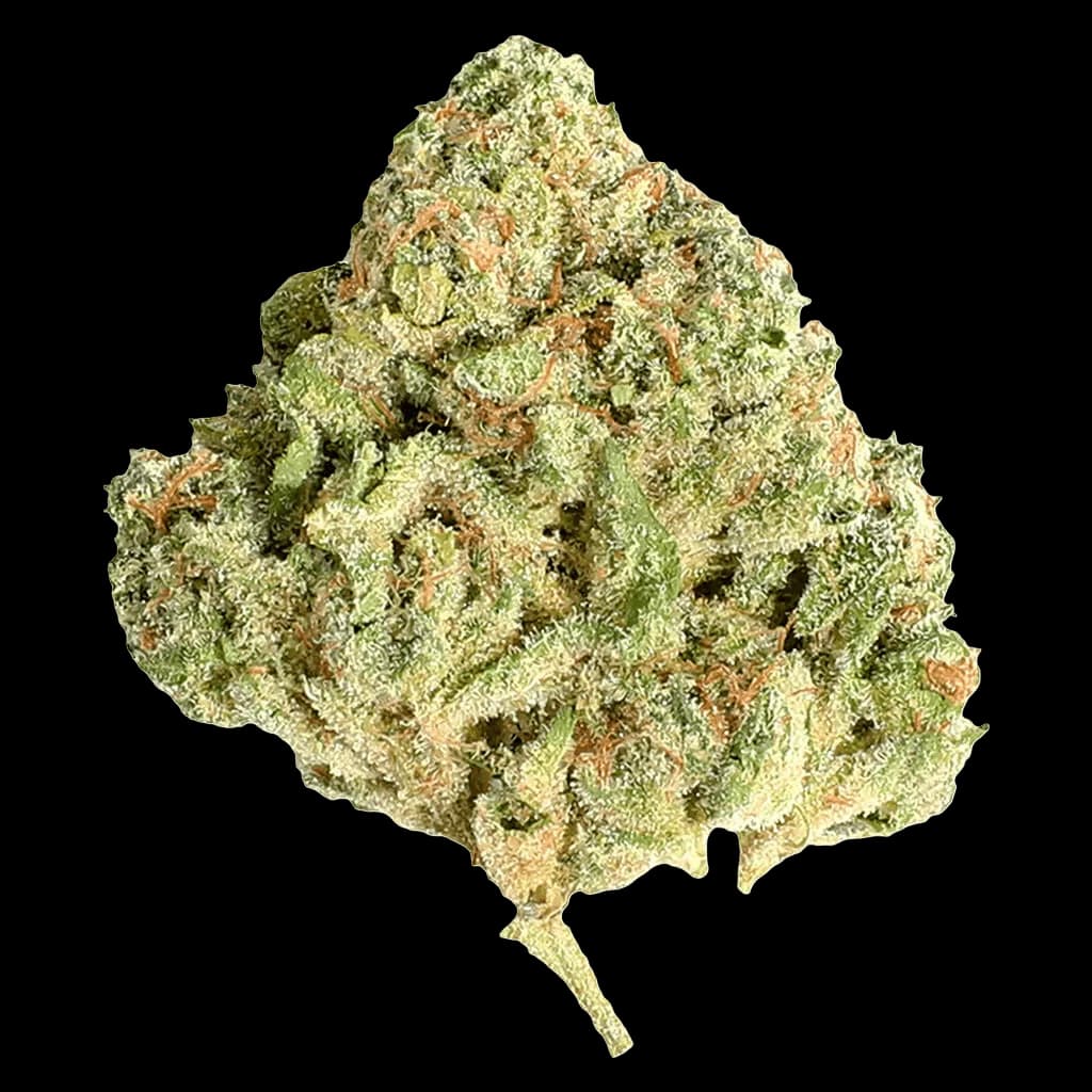Potluck Sugar Shack dried flower cannabis buds with light green and amber trichomes