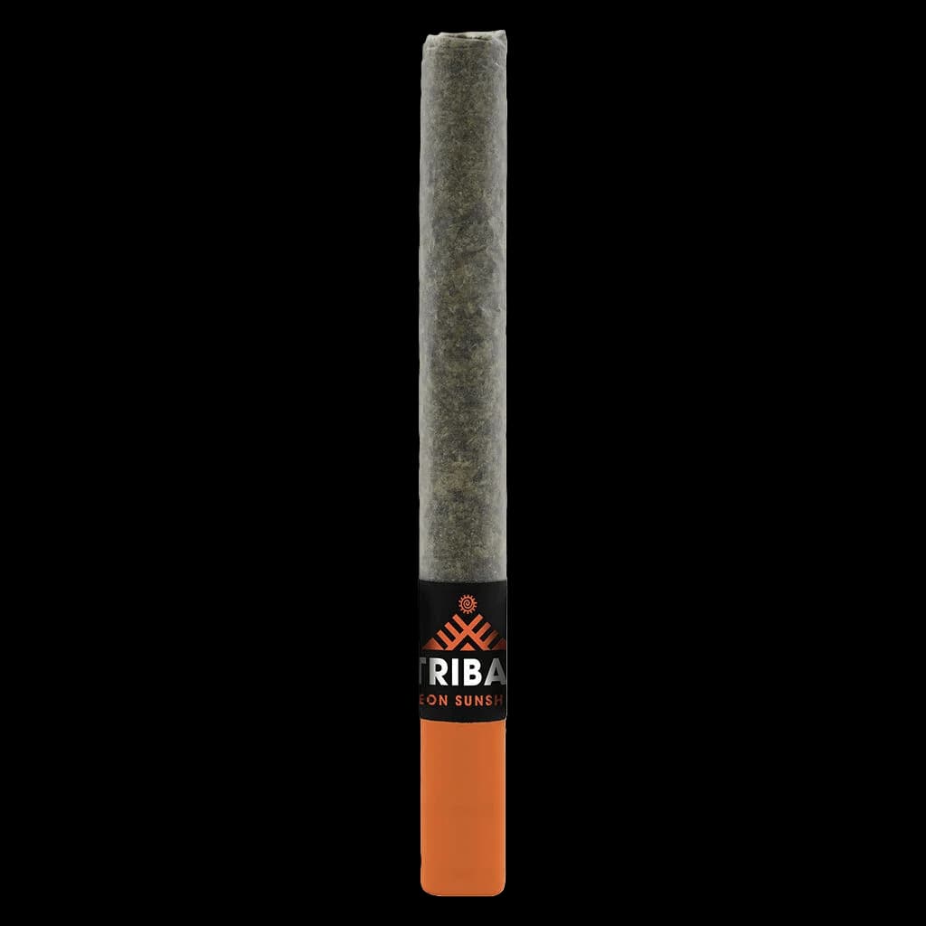 Tribal Neon Sunshine pre-roll with ceramic tip, black and orange packaging band on cannabis pre-roll