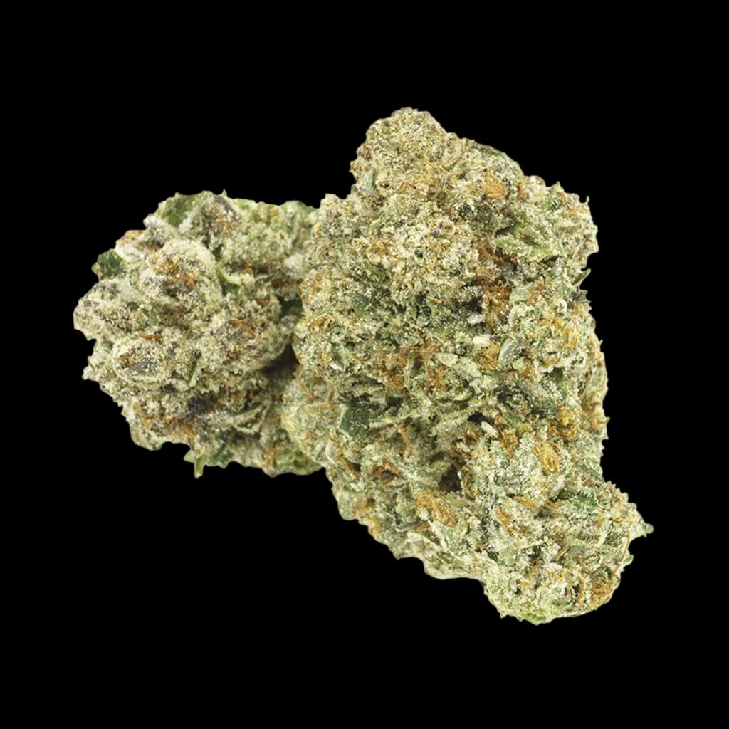 1964 Comatose cannabis dried flower buds with light green and golden trichomes on white background