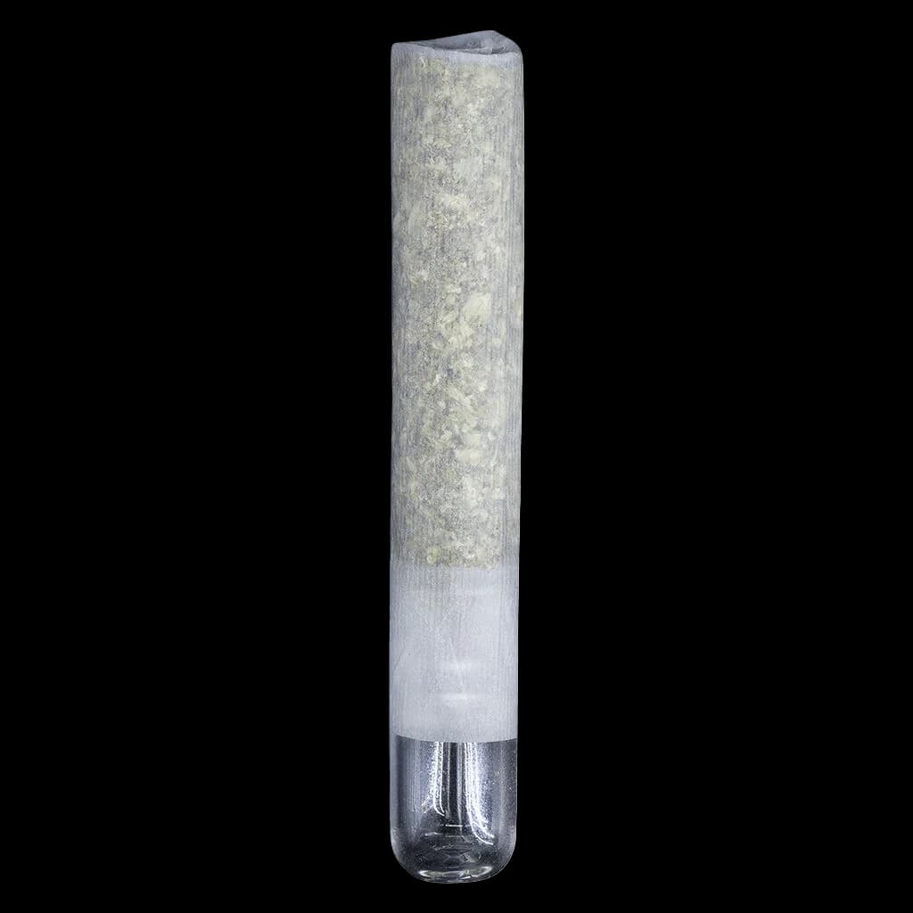 Northern Canna Snake in the Grass infused pre-roll with visible rosin coating in clear tube packaging