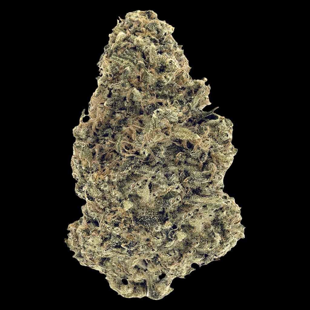 Woody Nelson Warehouse Premium Smalls cannabis dried flower bud with dense trichomes and light green coloring