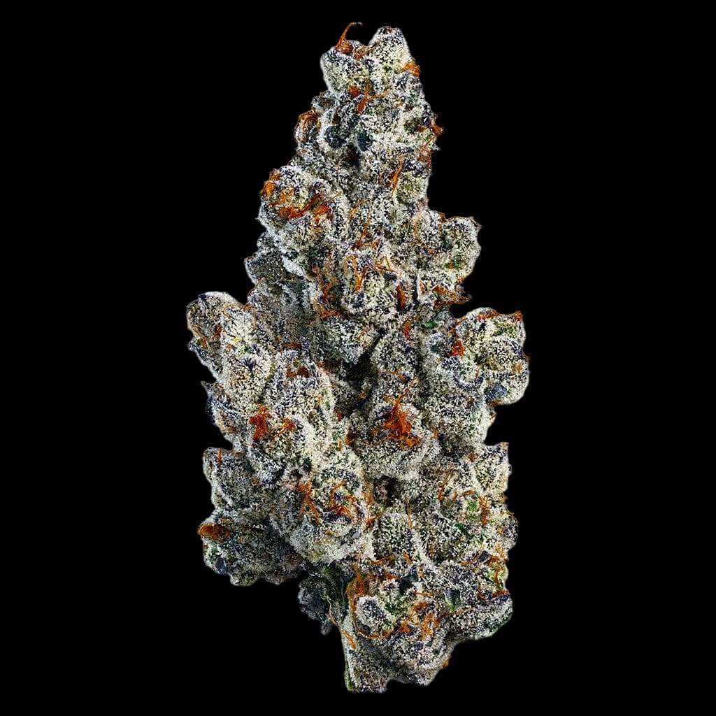 Woody Nelson Organic Bling Blaow cannabis dried flower buds with dense white trichomes and copper pistils