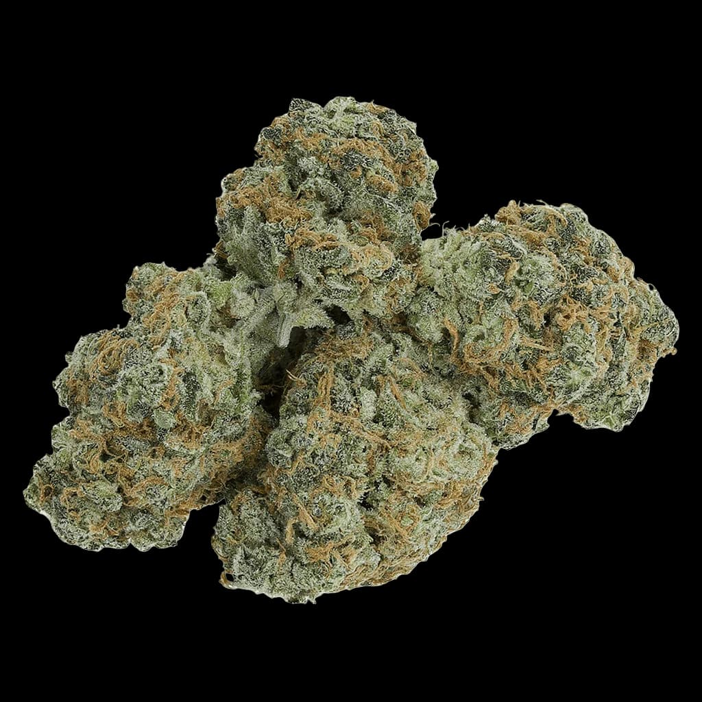 Bourgeons de cannabis à fleurs séchées Charged Sativa d'Electric Lettuce avec trichomes verts et ambrés sur fond blanc