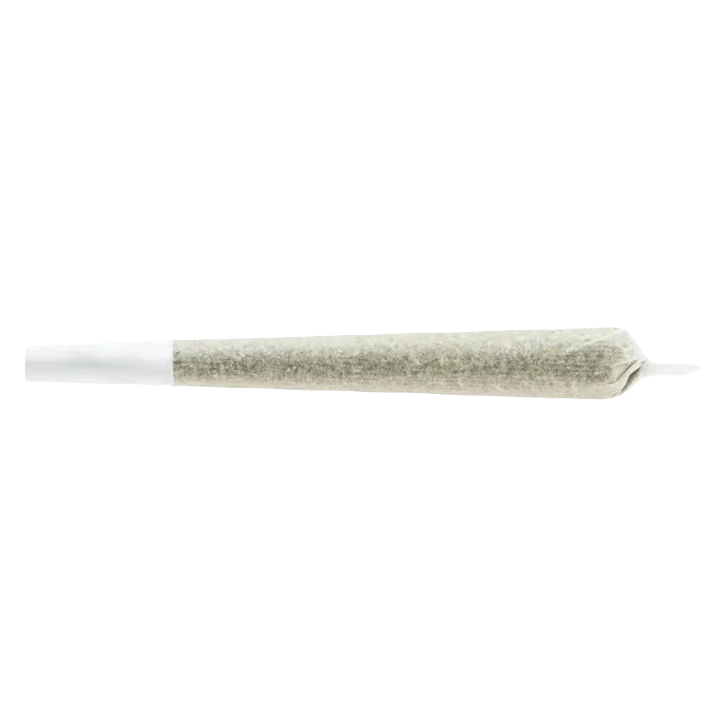 Chub's Indica Baseball Bat pre-roll with white filter tip and cannabis flower visible