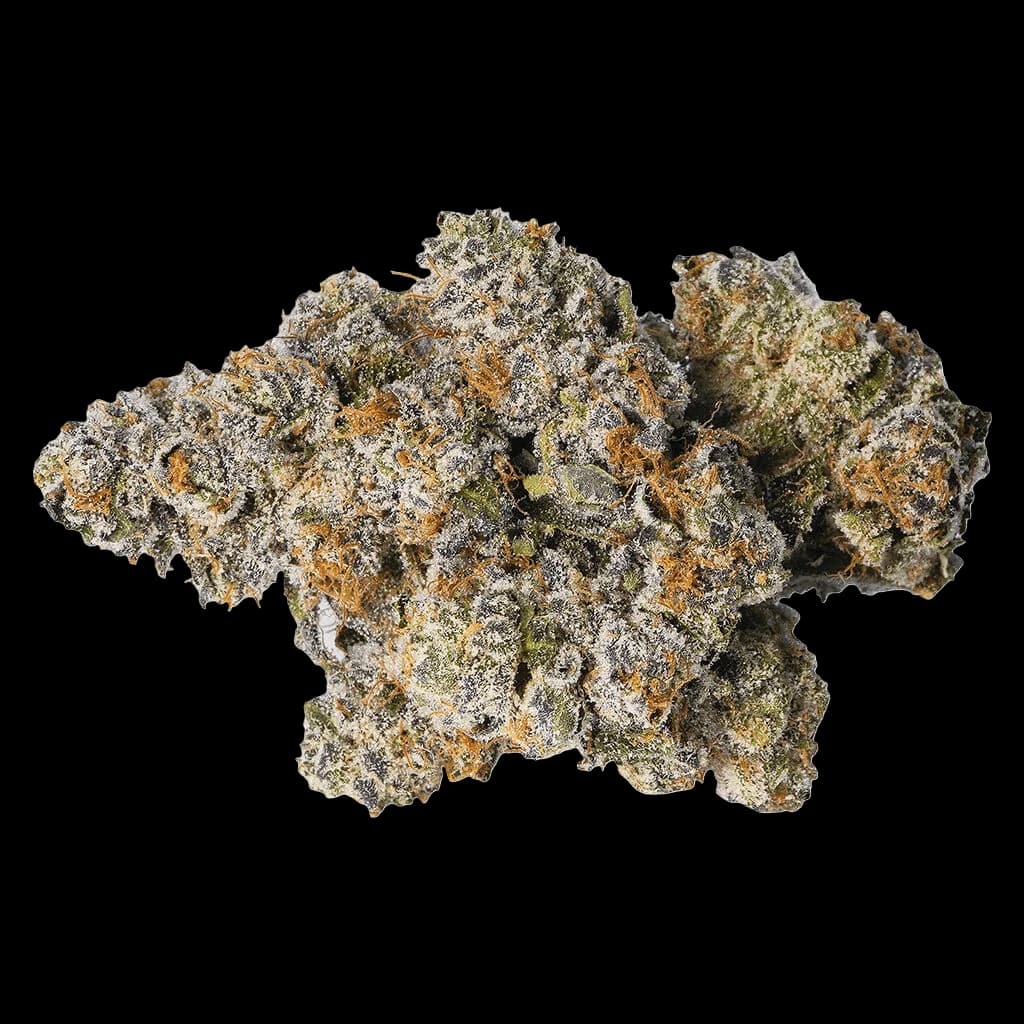Bourgeons de cannabis à fleurs séchées LOT420 Gelato 33 avec des trichomes denses et une coloration brun doré