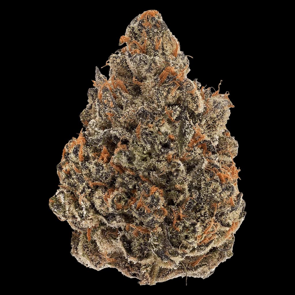 Bourgeon de fleurs séchées de cannabis Bud Lafleur Série R&D aux trichomes denses et pistils orangés
