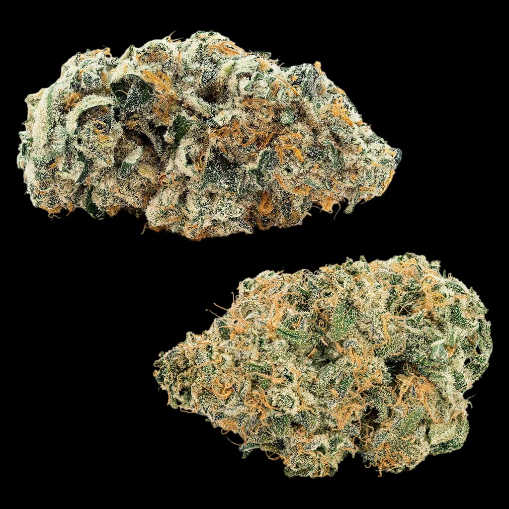 Two cannabis dried flower buds showing dense green and amber trichomes with orange pistils, displayed against a white background