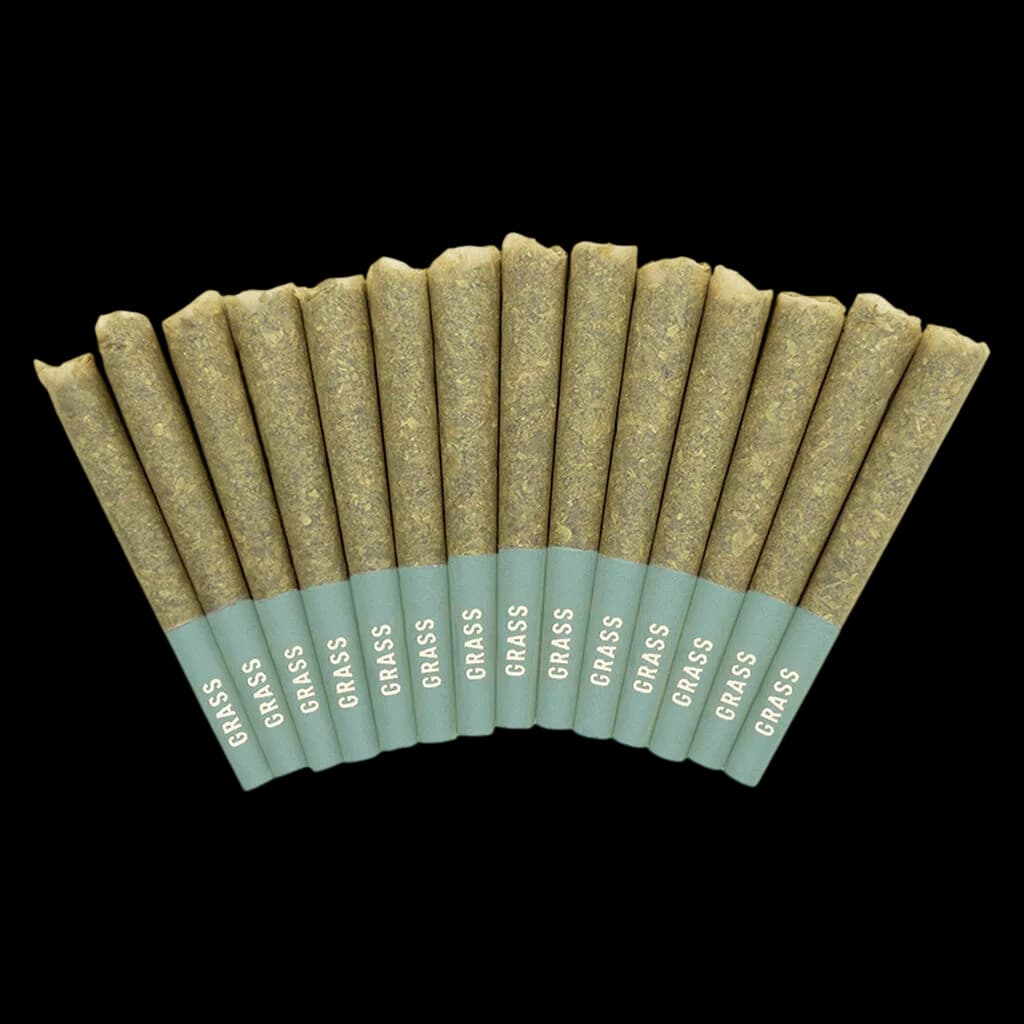 Emballage de pré-roulés Bangerine de Grass avec 16 pré-roulés de cannabis alignés, montrant des embouts filtres vert sauge et un emballage de marque