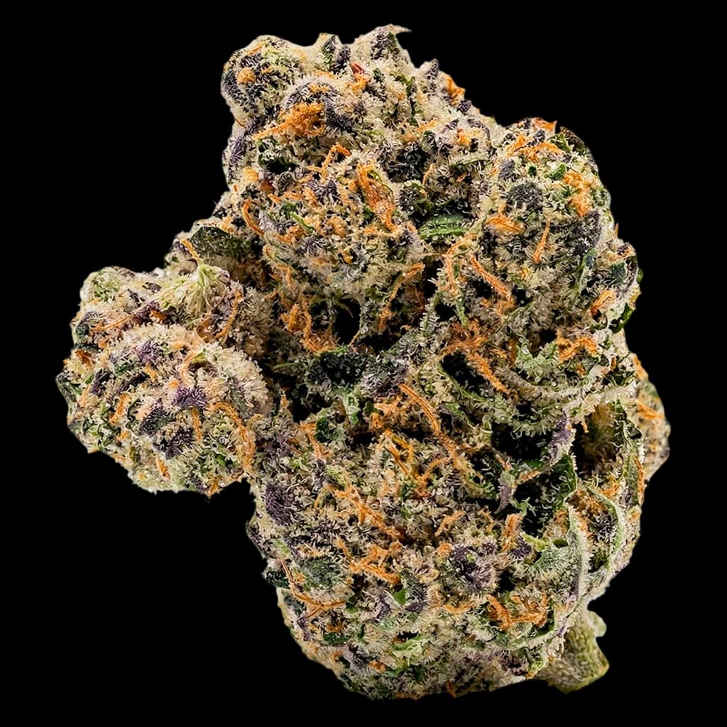 Cannabis dried flower bud with green and orange trichomes, dense structure
