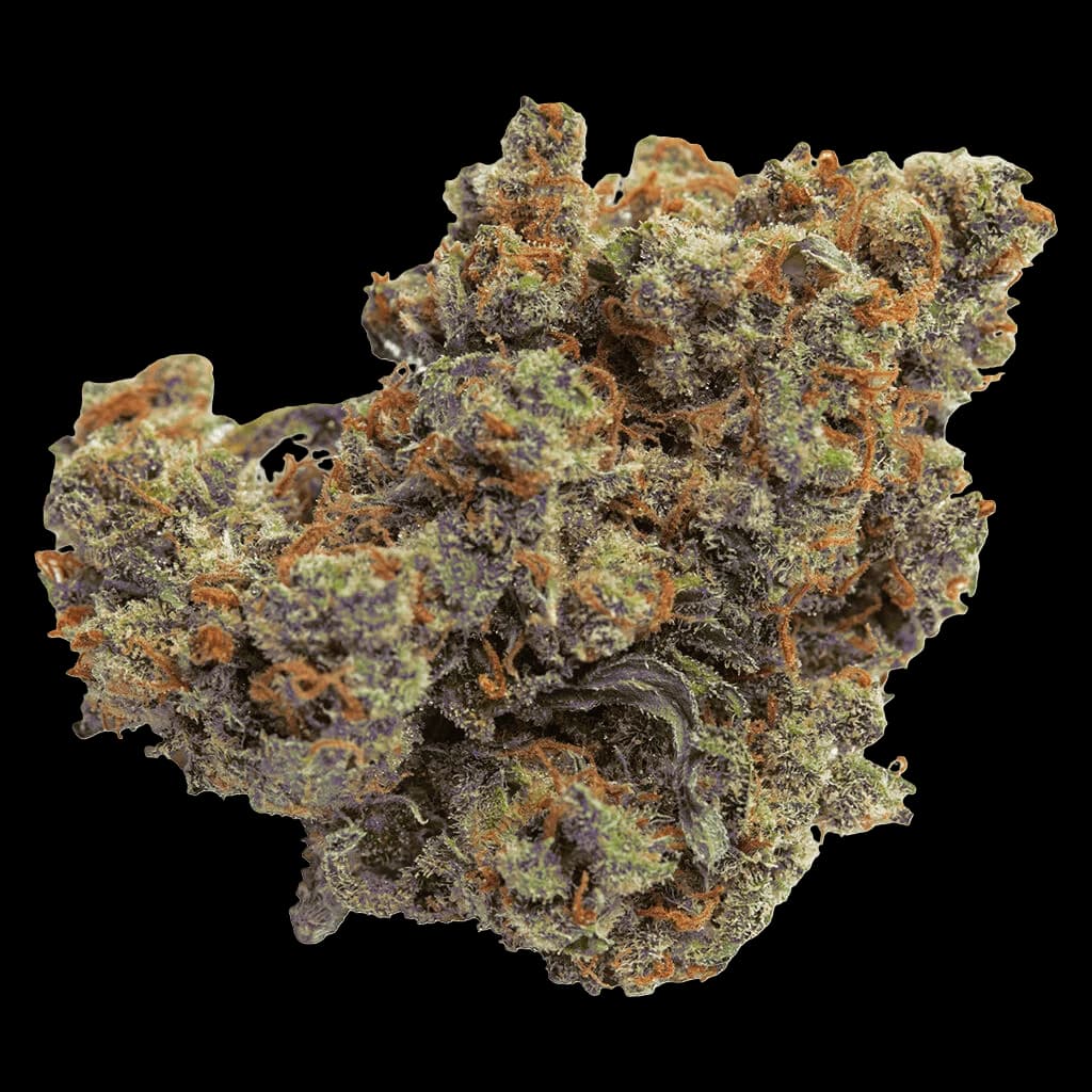 Qwest Lazer Jet Craft dried flower cannabis buds with dense trichomes, green and purple hues with orange pistils