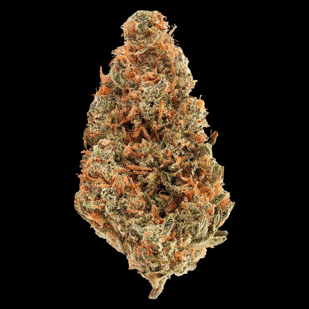 Bud Lafleur AK-47 cannabis dried flower bud with dense trichomes and orange hairs against white background