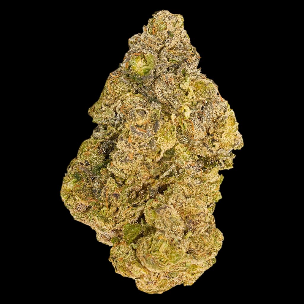 Bourgeon de fleur séchée de cannabis Cherry Ztripez de Broken Coast, dense et recouvert de trichomes verts et dorés