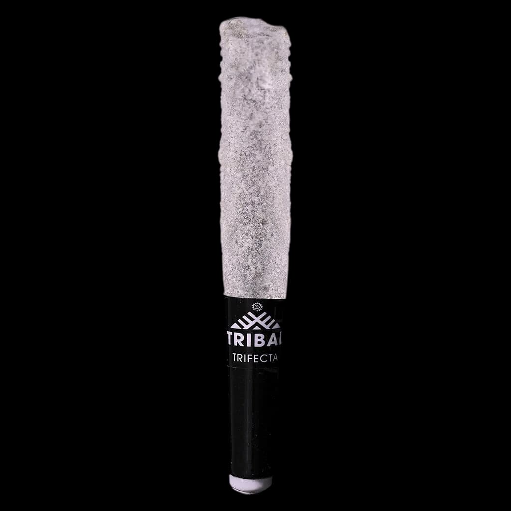 Pré-roulé infusé Tribal Cuban Linx Trifecta avec papier lavande texturé et embout filtre noir, pré-roulé de cannabis