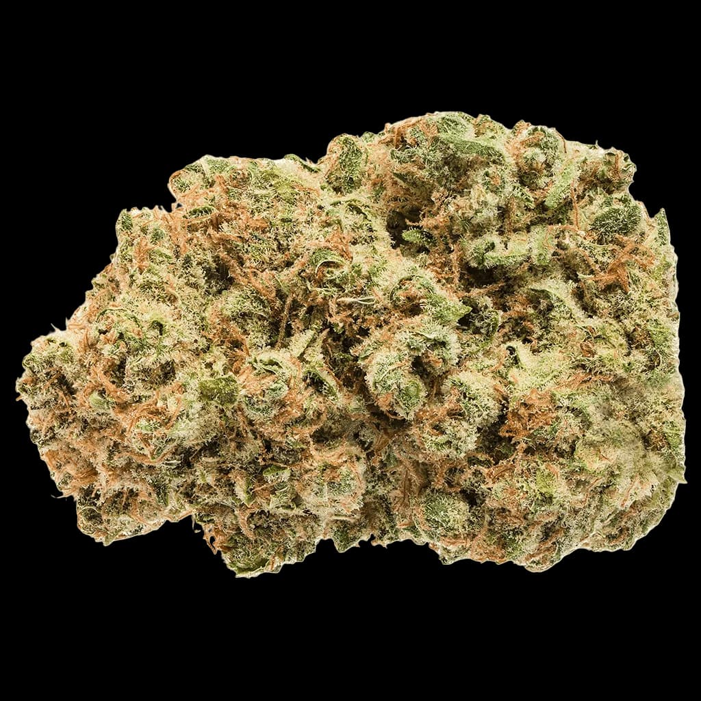 Bourgeons de cannabis en fleurs séchées Cherry Bomb de Jonny Chronic avec trichomes verts et ambrés sur fond blanc