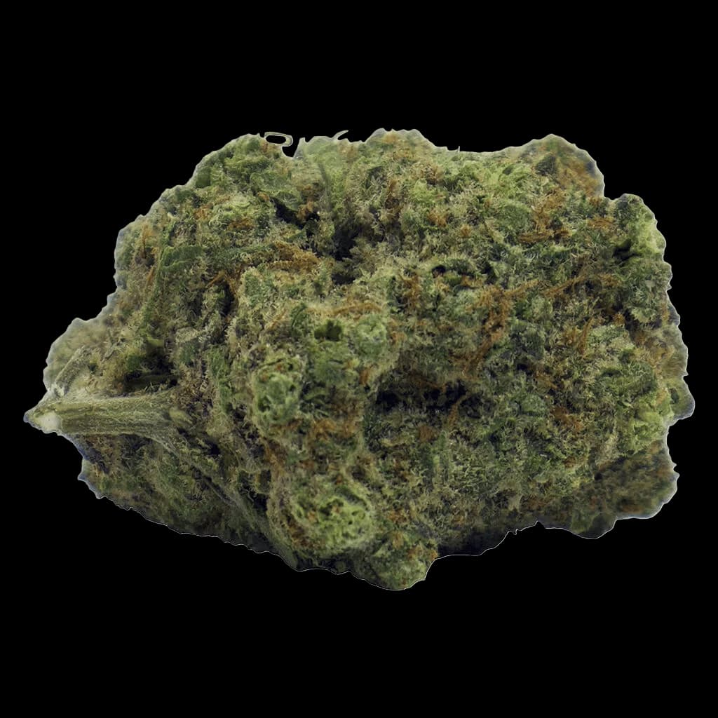 Tweed Blood Orange Kush dried flower cannabis bud with dense green and amber trichomes on white background