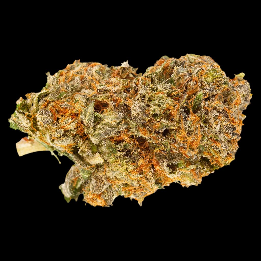 Fleur de cannabis séchée entière artisanale P.O.P. de Qwest, dense, verte et orangée, avec des trichomes visibles, sur fond blanc