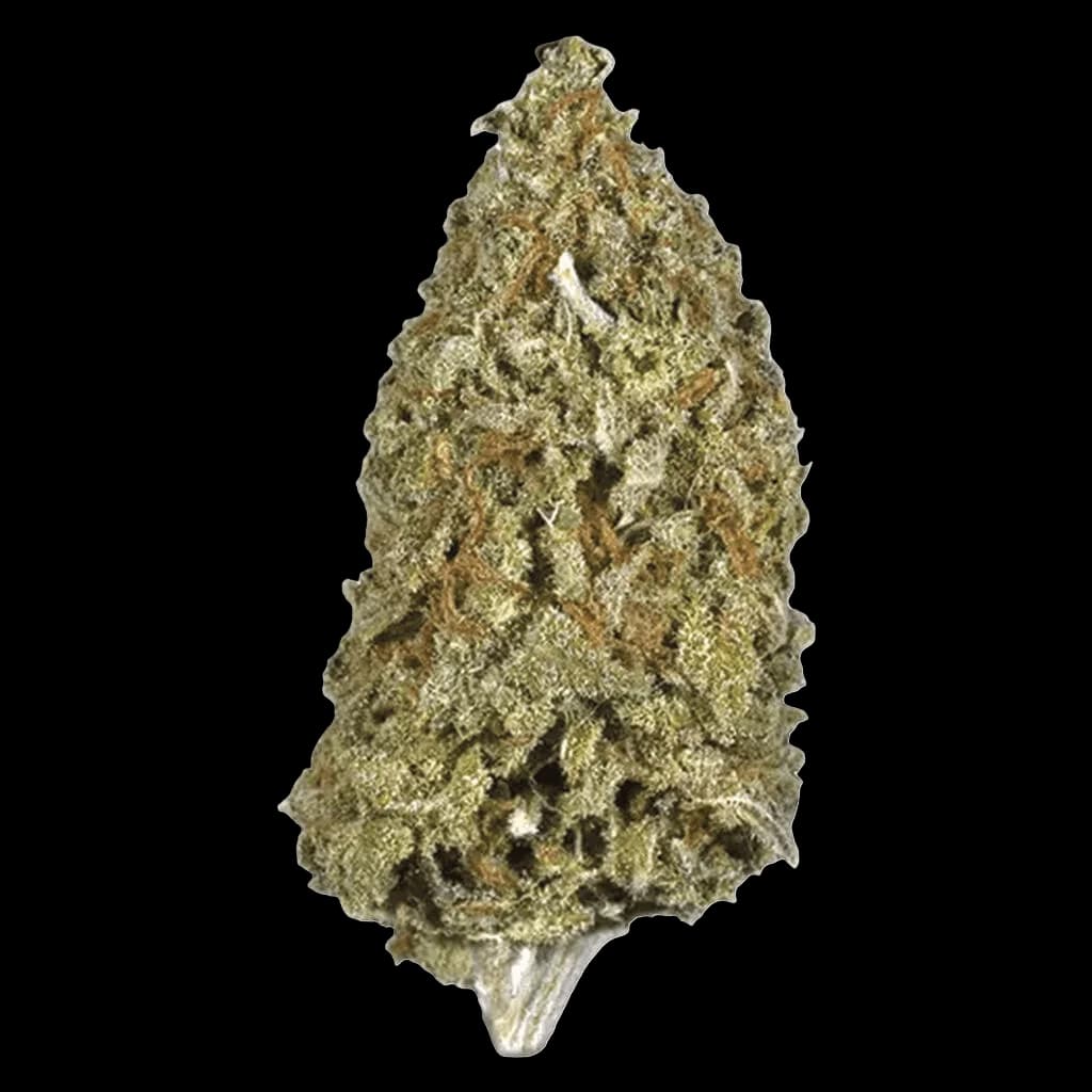 Potluck Candy Cane Kush cannabis dried flower bud with dense, frosty green and brown trichomes