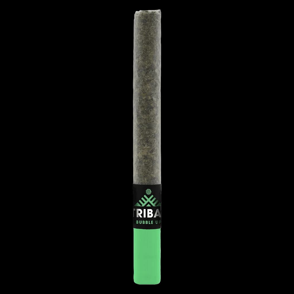 Tribal Bubble Up pre-roll with ceramic tip, gray cannabis flower wrap and green filter tip visible