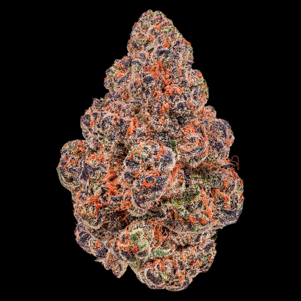 Bourgeon de fleur séchée Craft Series de Cheers Cannabis avec trichomes orange et verts sur fond blanc