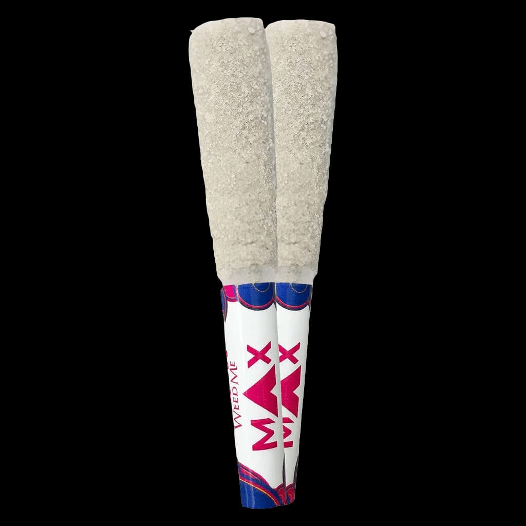 Duo de pré-roulés infusés THCa Mangue Myrtille Weed Me Max avec emballage blanc et magenta