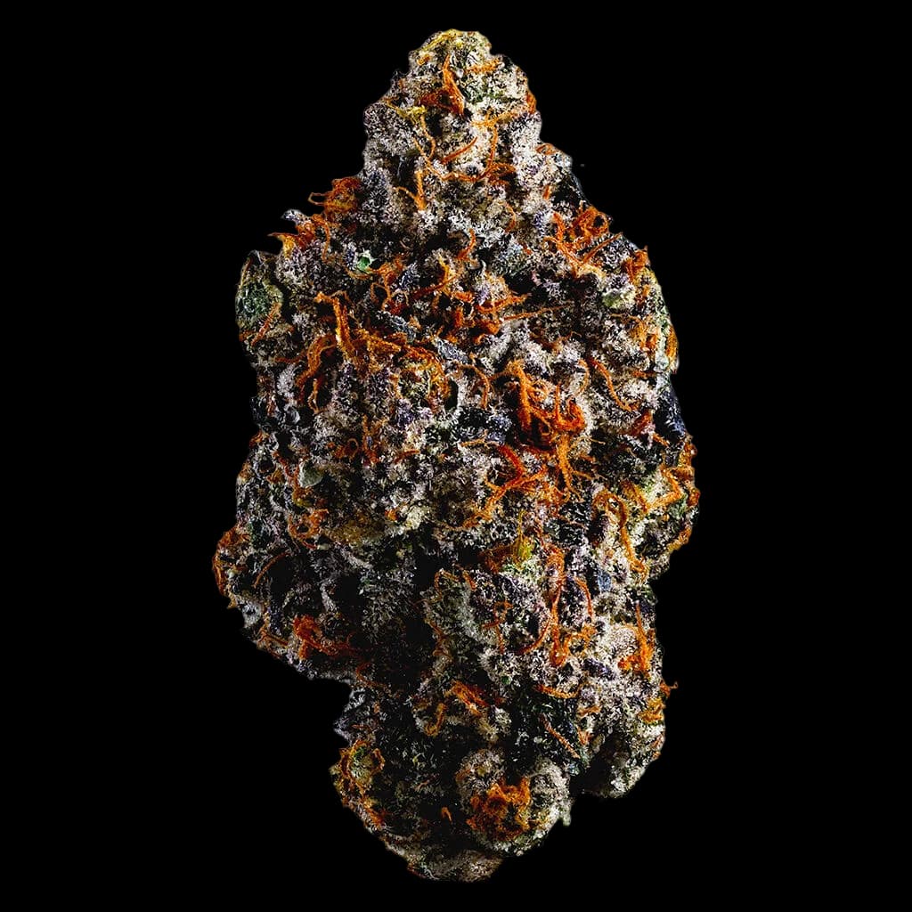 Woody Nelson Organic Lemon Cherry Pie cannabis dried flower bud with dense trichomes, orange and green coloring