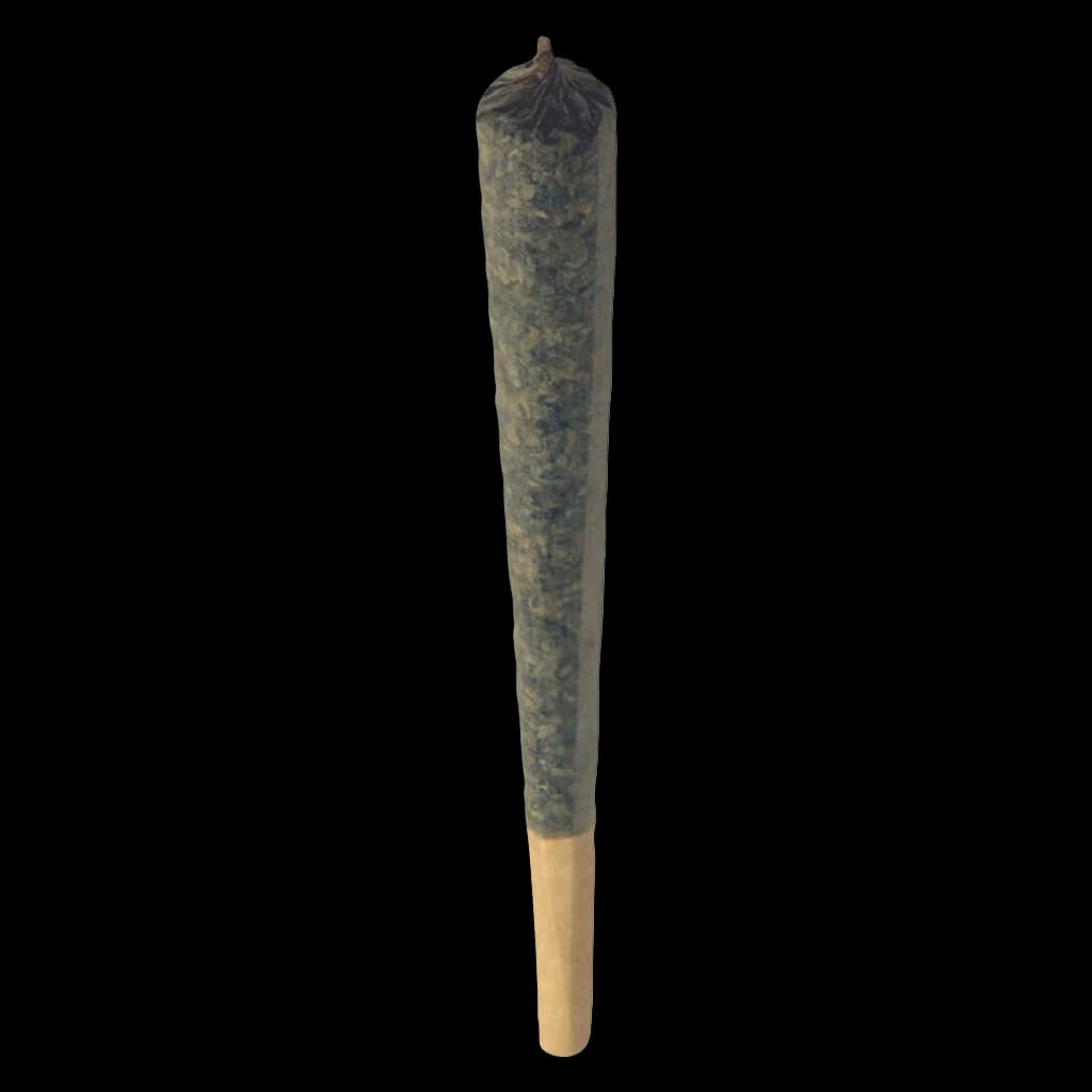 Electric Lettuce Pineapple Sizzle infused pre-roll with dark cannabis flower coating and natural paper wrap