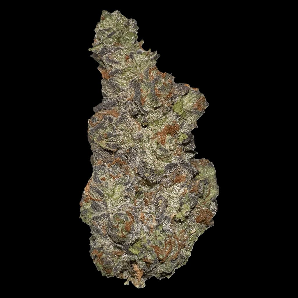 Terp Town Collective Queen of Tartz cannabis dried flower bud with dense green and amber coloring