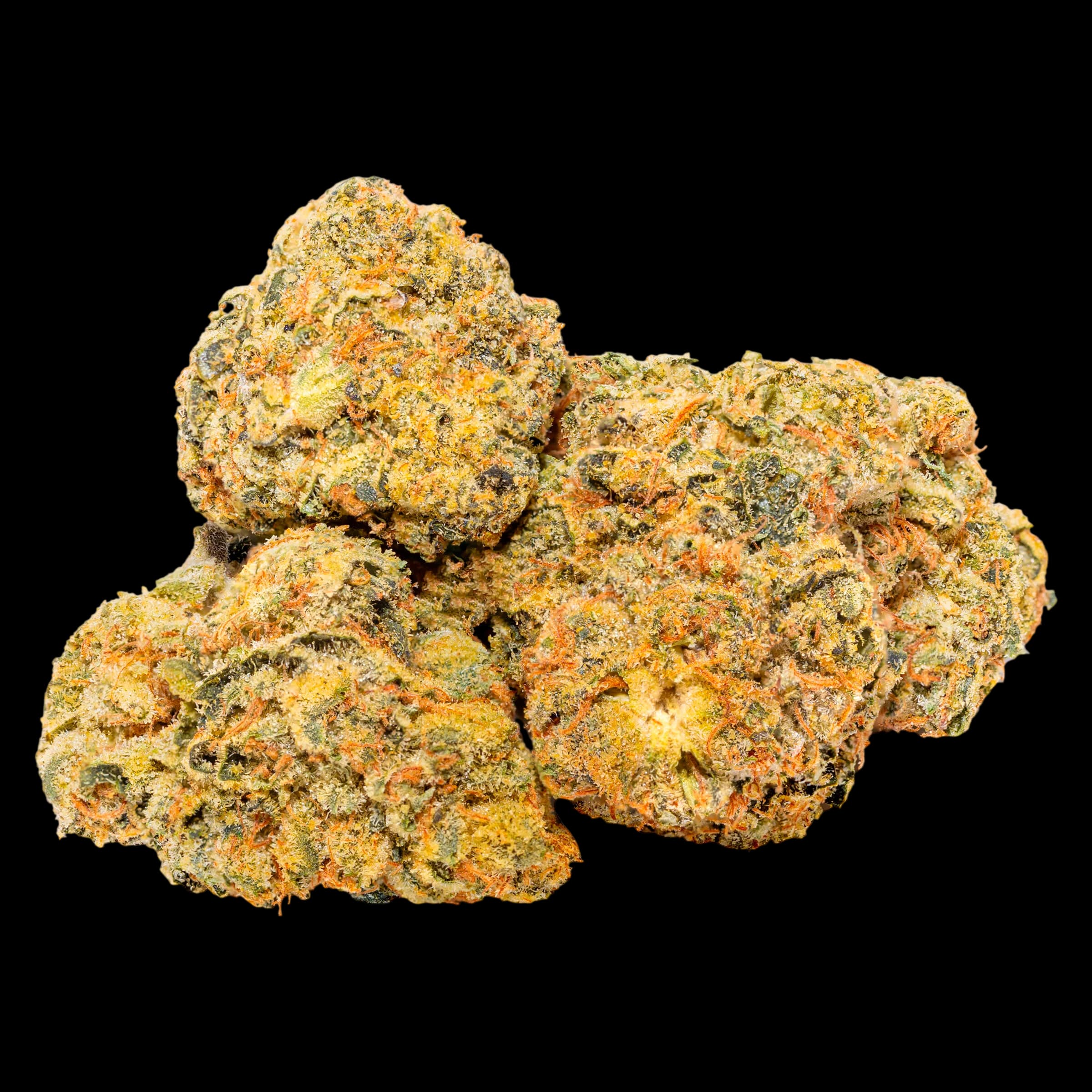 Tuck Shop Zip cannabis dried flower buds with golden-yellow and orange hues coated in trichomes