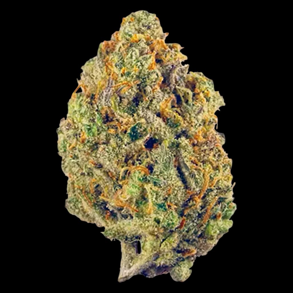 Fleur séchée de cannabis Milk & Cookies de Potluck, un seul bourgeon entier sur fond blanc, trichomes denses et pistils orange visibles