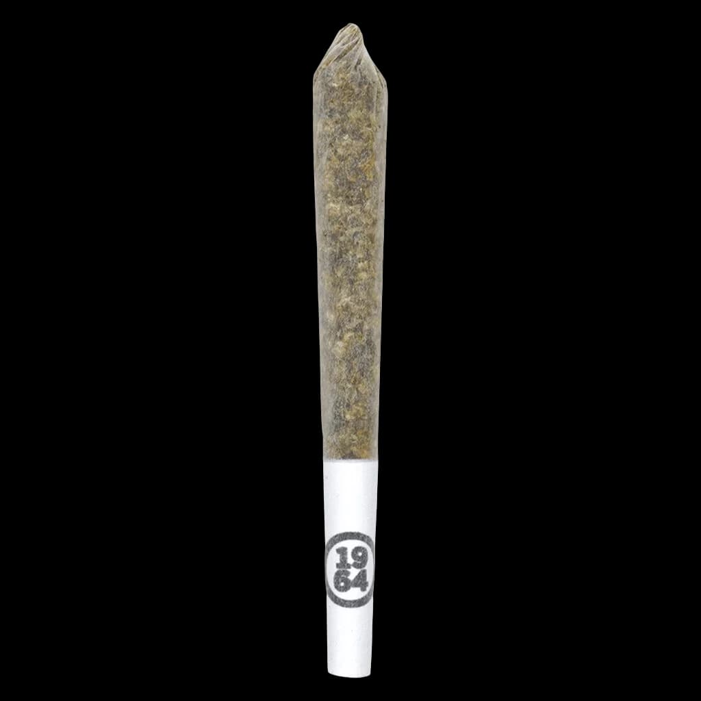 1964 Kush Mints pre-roll with white filter tip and branded band, cannabis pre-roll