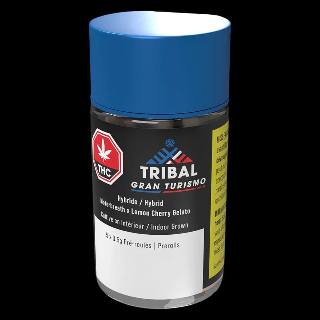 Tribal Gran Turismo pre-roll pack, hybrid strain Motorbreath x Lemon Cherry Gelato, 5 x 0.5g pre-rolls in blue tube