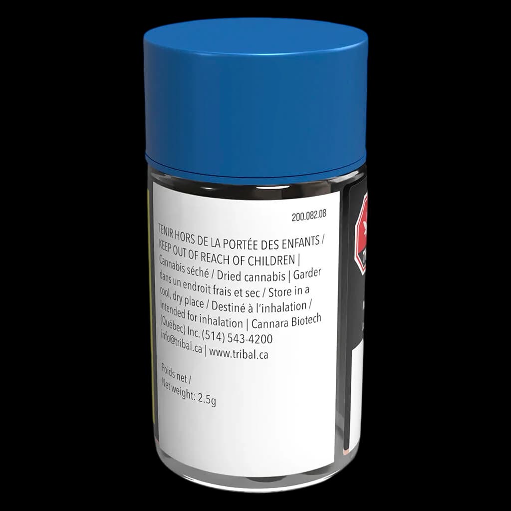 Tribal Gran Turismo 2.5g cannabis pre-roll in blue capped glass jar with regulatory label