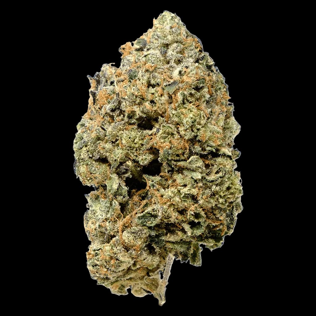 Pistol and Paris Pink Goo cannabis dried flower, showing dense buds with green and amber trichomes