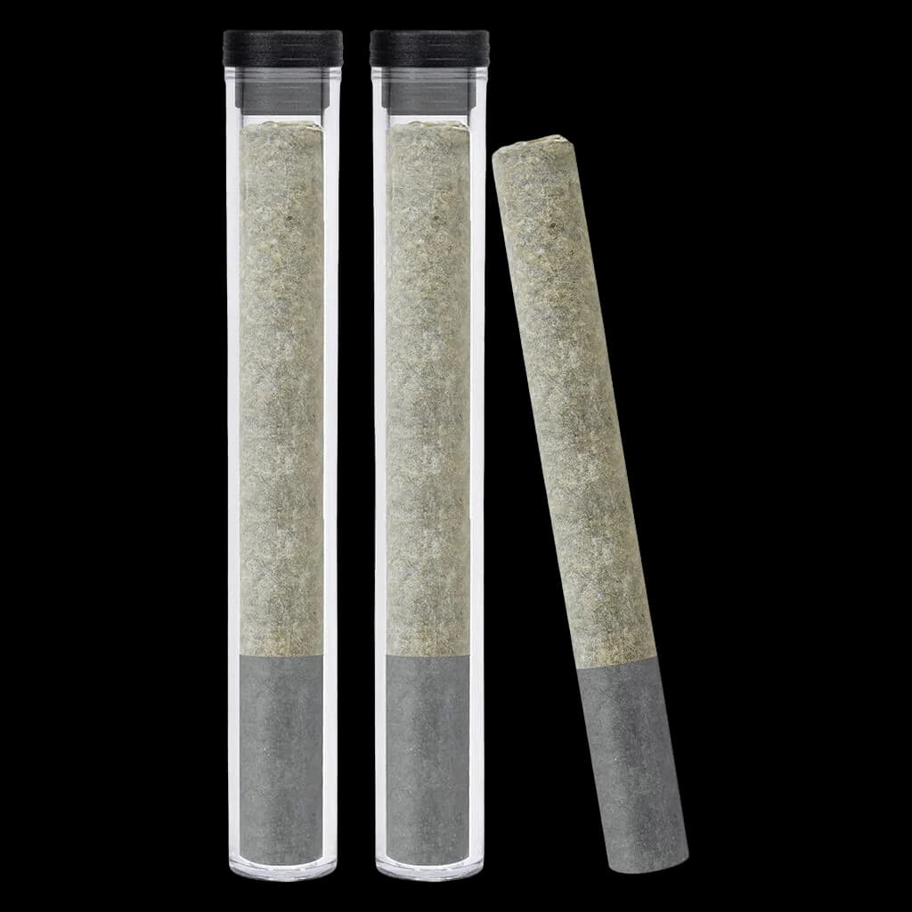Dazed & Infused Diesel Orchid live resin diamond infused pre-roll, three-pack with clear tubes and black caps
