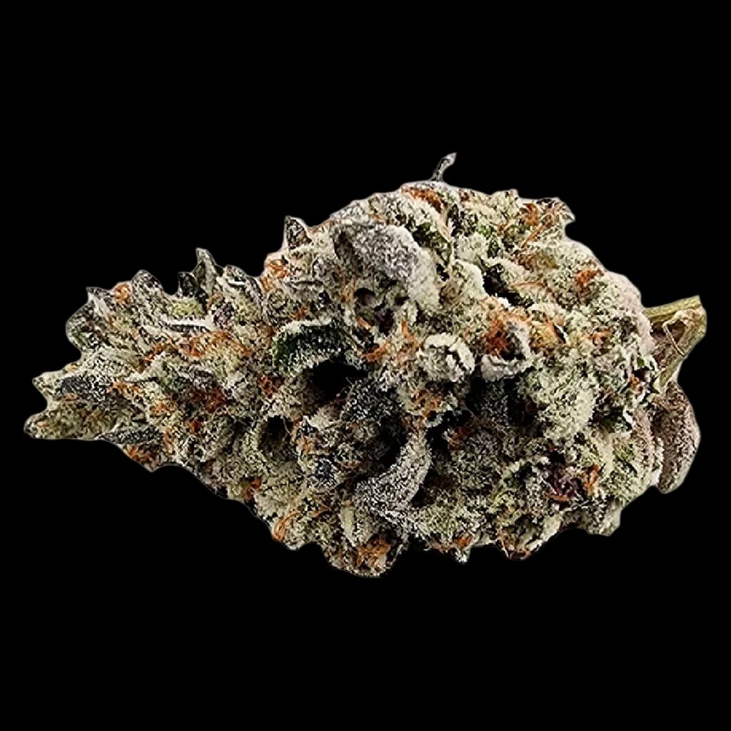 Truro Donair Kush cannabis dried flower with dense, frost-covered buds displaying green and brown tones