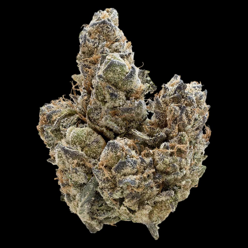 Bourgeons de cannabis en fleurs séchées Nugz Florida Oranges avec des trichomes cristallins denses et une coloration allant du vert au beige
