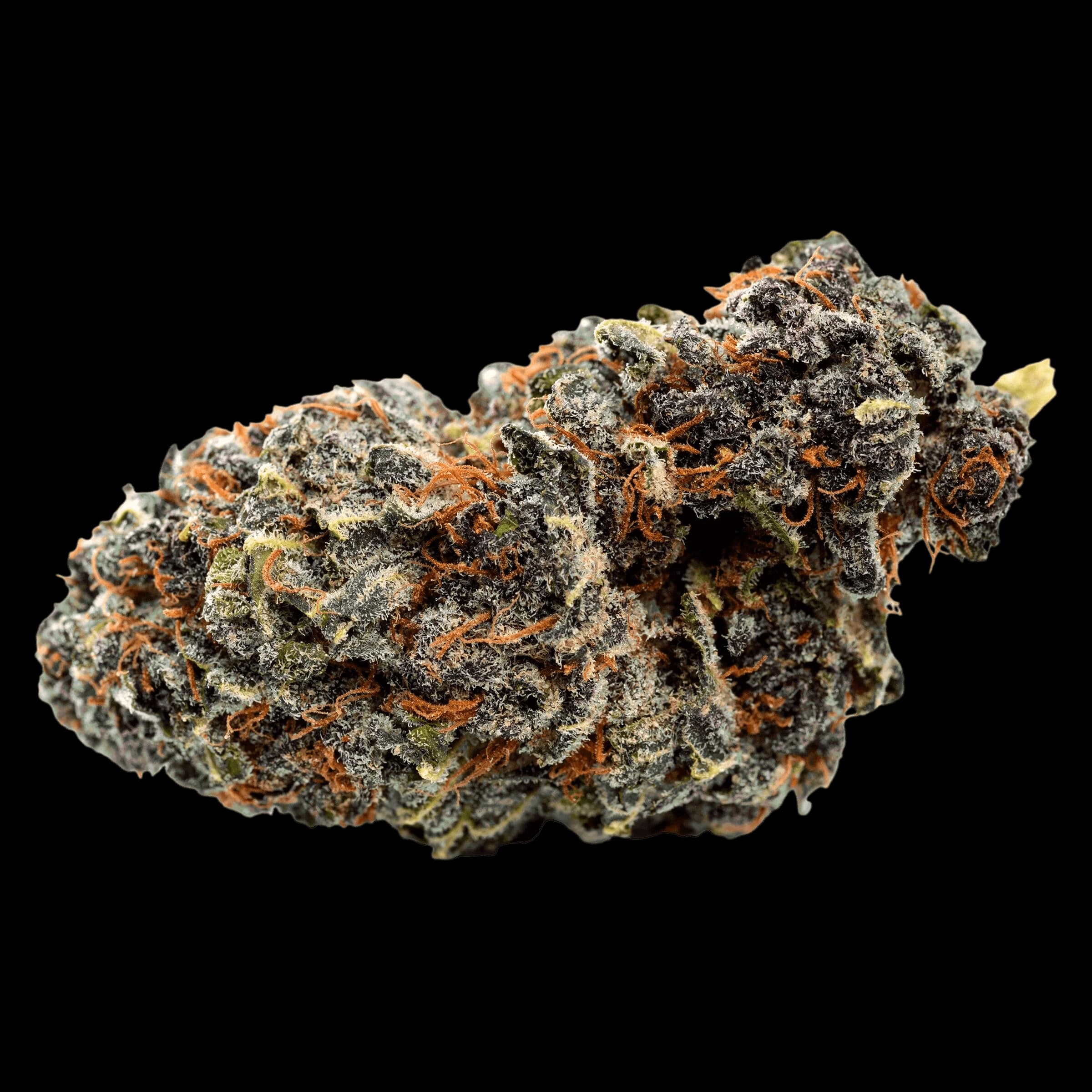 Qwest Georgia Pie craft whole flower cannabis dried flower with dense crystalline trichomes, orange pistils, and green foliage