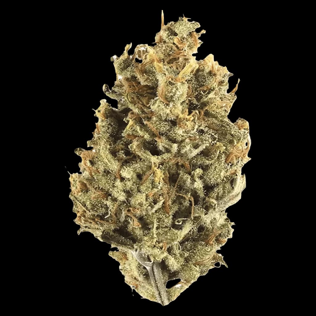 Bourgeons de cannabis en fleurs séchées Cranberry Cough de Potluck, aux teintes vert clair et ambrées, sur fond blanc