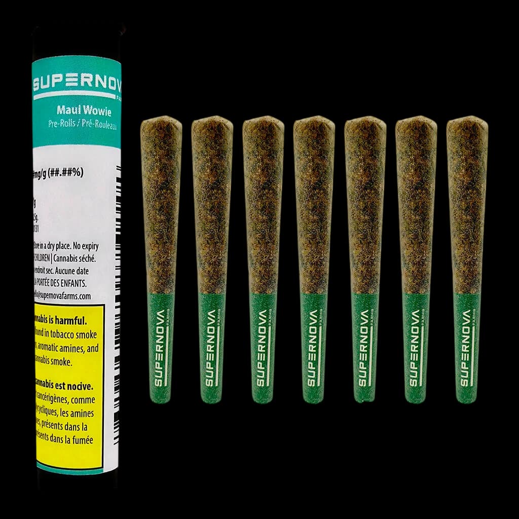 Emballage de pré-roulés Maui Wowie de Supernova Farms avec 7 pré-roulés de cannabis affichés, embouts filtres verts visibles
