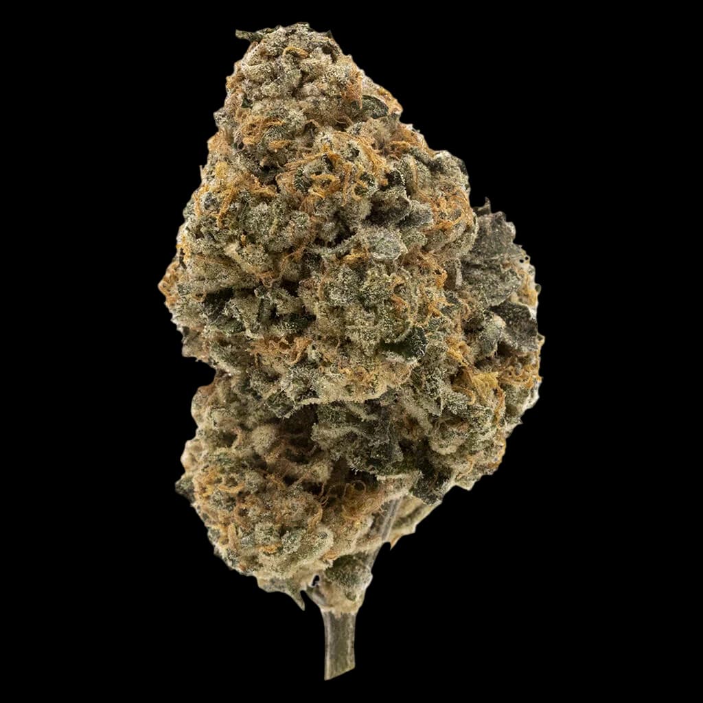 FIGR Kandy Cake whole flower cannabis bud with dense trichomes and golden-brown coloring